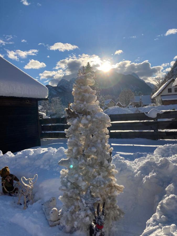 Pr' Jakapc' Aparthotel Mojstrana